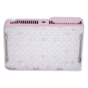 amaran Ace 25x pink