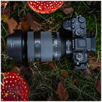 Sony FE 28-70mm f/2.0 GM