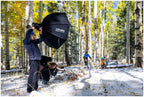 Profoto Pro-B3 Single Kit