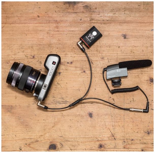 Tentacle Sync Timecode & Microphone to Camera Y-Cable