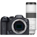 Canon EOS R7 + RF 200-800mm f/6.3-9 IS USM