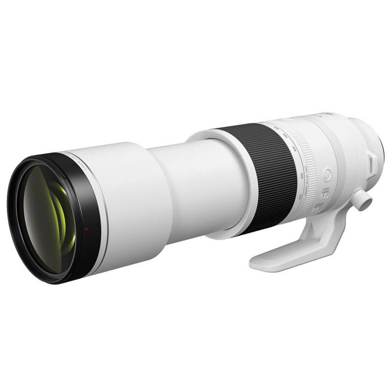 Canon EOS R7 + RF 200-800mm f/6.3-9 IS USM
