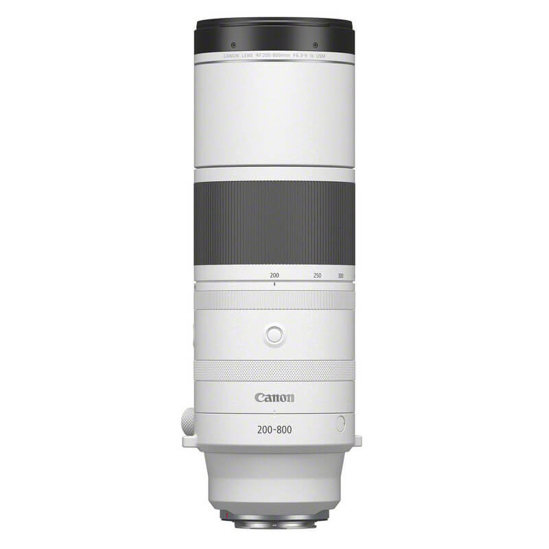 Canon EOS R7 + RF 200-800mm f/6.3-9 IS USM