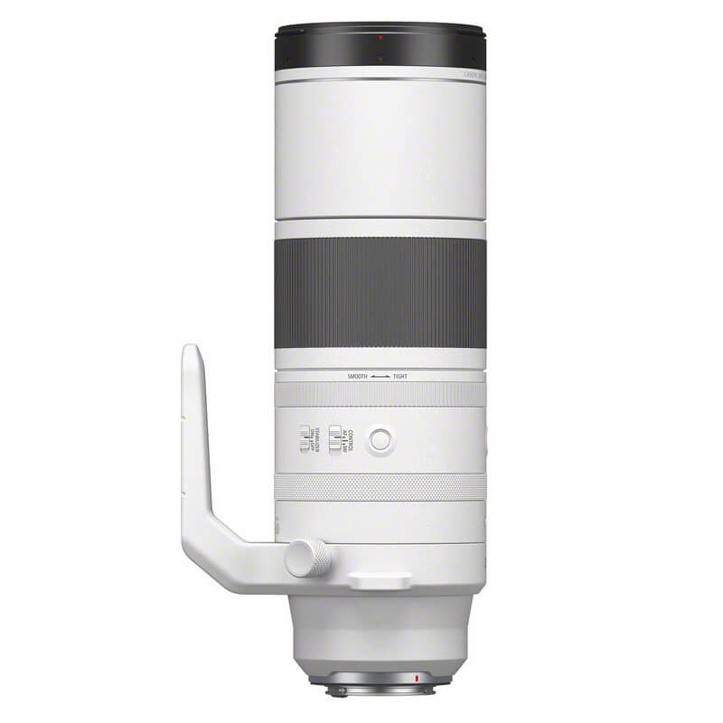 Canon EOS R7 + RF 200-800mm f/6.3-9 IS USM
