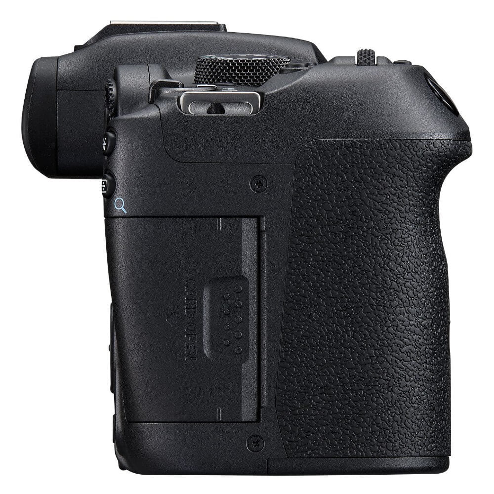 Canon EOS R7 + RF 200-800mm f/6.3-9 IS USM