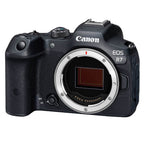 Canon EOS R7 + RF 200-800mm f/6.3-9 IS USM
