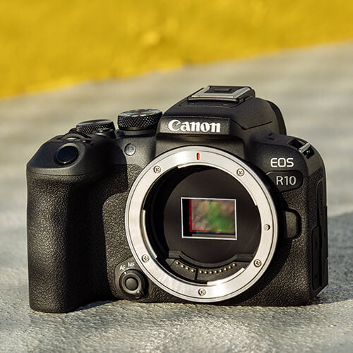 Canon EOS R10 + RF-S 18-150mm f/3.5-6.3 + RF 75-300mm f/4-5.6