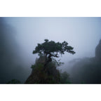 7artisans 14mm f/2.8 L-mount - Black
