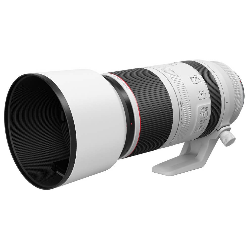 Canon RF 100-500mm f/4.5-7.1L IS USM + Extender RF 1.4x