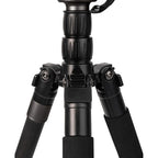 GPO Carbon Fiber Tripod & Ball head