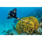 SeaLife Sea Dragon Mini 1600 Power Kit (KIT13)