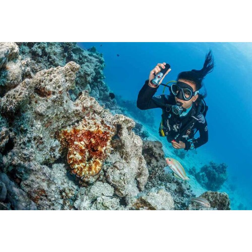 SeaLife Sea Dragon Mini 1600 Power Kit (KIT13)