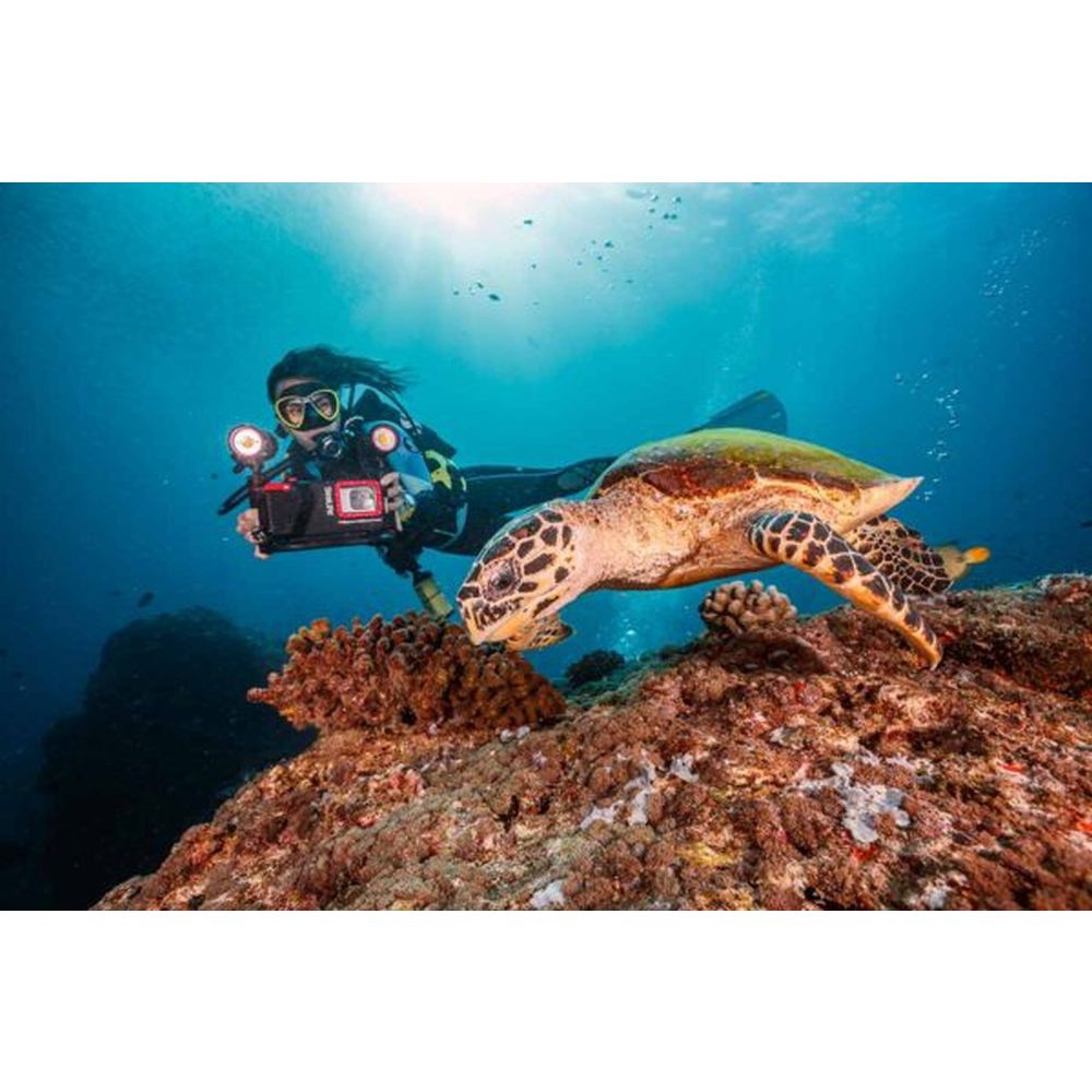 SeaLife Sea Dragon Duo 10K+ Color Boost set