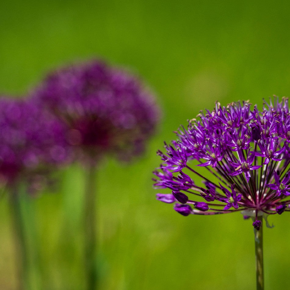Tamron 70-180mm f/2.8 Di III VC VXD G2 - Nikon Z