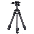 Sunwayfoto T16C20NII T1 Macro tripod with ball head XB25 ArcaSwiss + plate