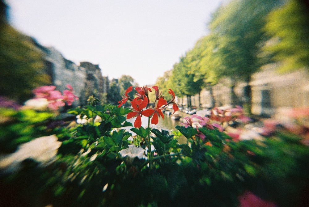 Ilford Pixie 35-II analog camera