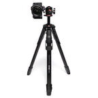 Manfrotto ONE Photo Alu With XPRO Ball Head