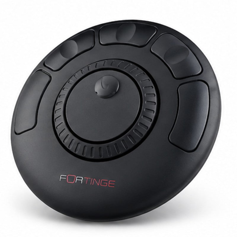 Fortinge HCD Handcontroller