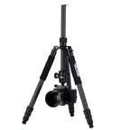 Rollei C6I Carbon Tripod - Black