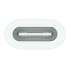 Apple USB-C to Apple Pencil Adapter