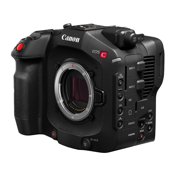 Canon Cinema EOS C80 Battery bundle