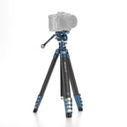 Benro Video tripod with videokop - carbon Cyanbird