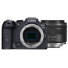 Canon EOS R7 + RF 35mm f/1.8 IS Macro STM