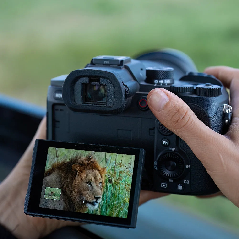 Sony RX10 V