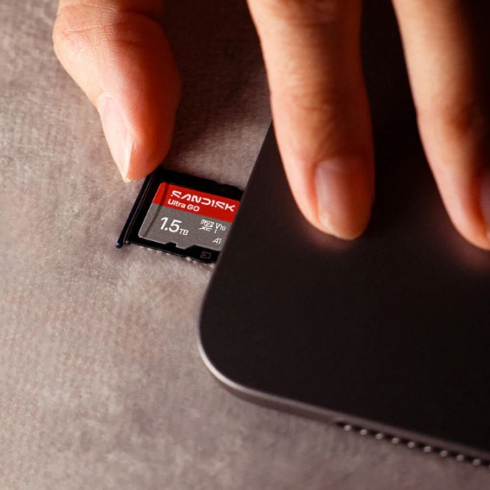 SanDisk SDXC Ultra Go 256GB 190 MB/s UHS-I- V10- U1- C10