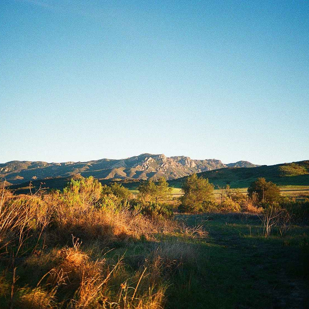 Kodak Ultra Max 400 - 135-36 / 3-pack