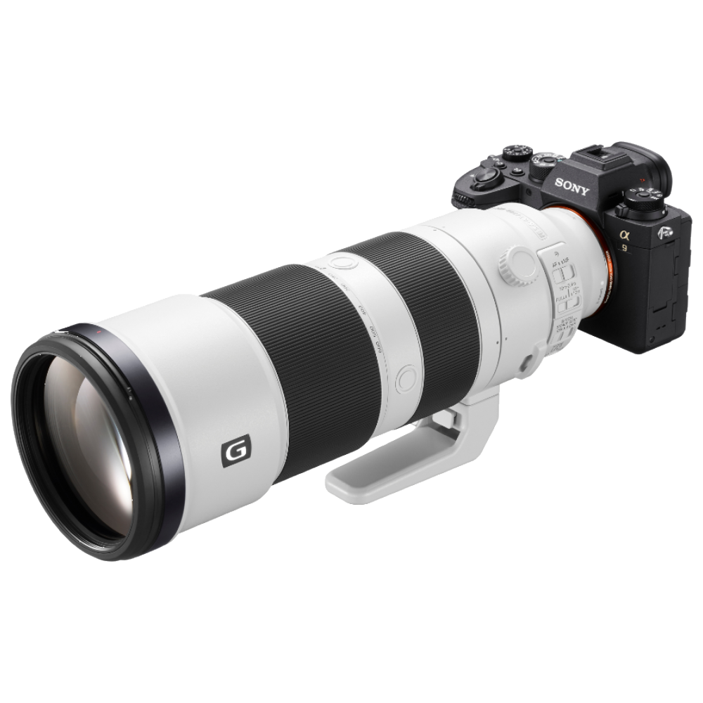 Sony A9 Mark II + 200-600mm FE F/5.6-6.3 G OSS
