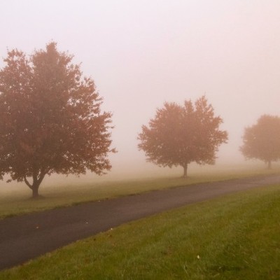depth in photography